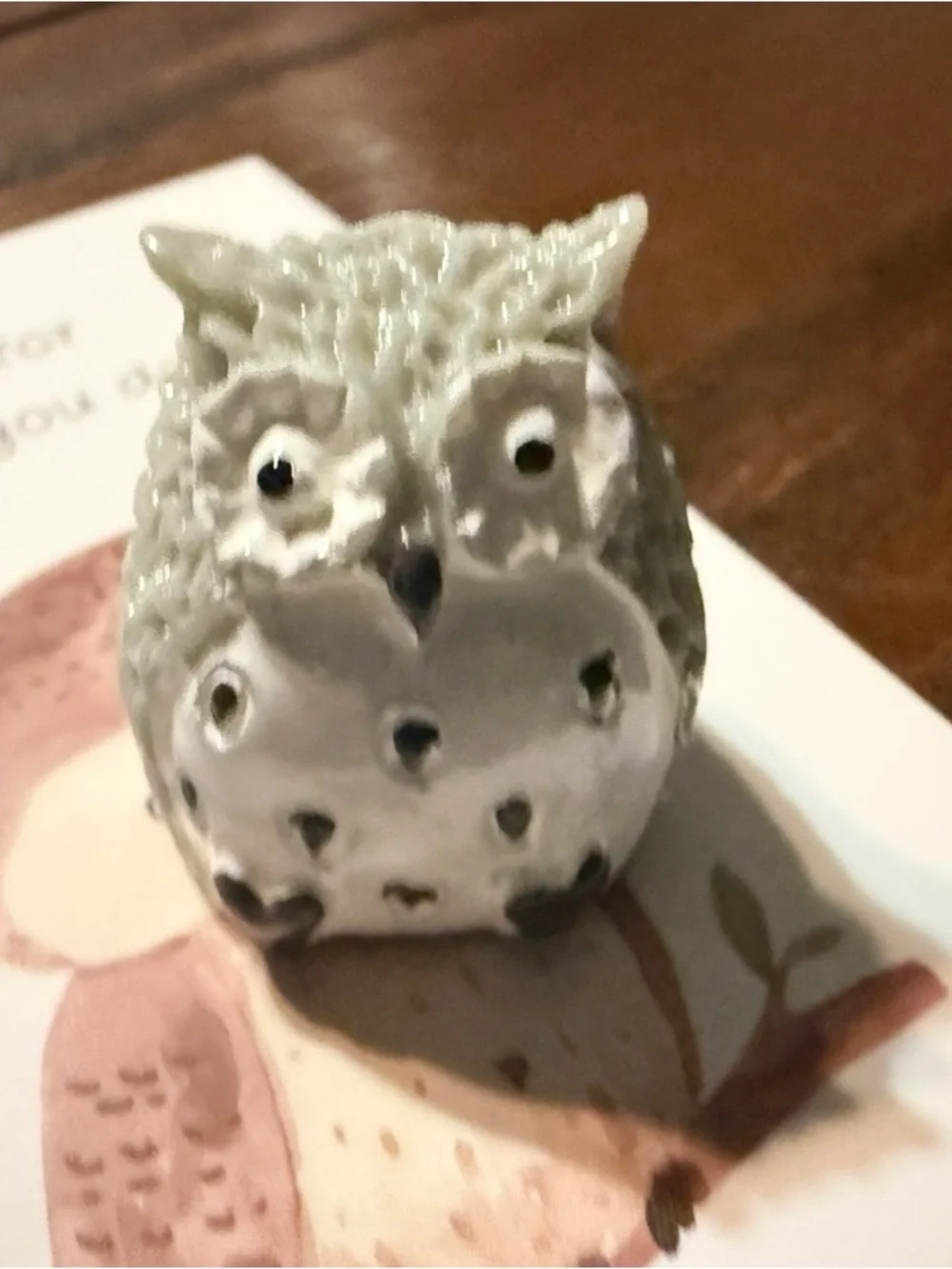 $2 Owl Thank You Card set $2 WITH ANY $10 Order or mote